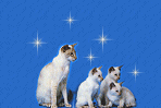 bset1.gif (6721 bytes)