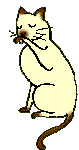 x-kitty2000.gif (5289 bytes)