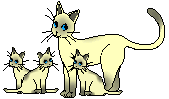 z-family.gif (8787 bytes)